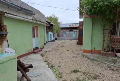 Gospodaria din Crampoia acolo unde lini?tea nu se cumpara, ci se traie?te. - 3