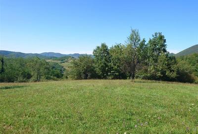 Teren Construcții intravilan de 8757 mp, în Luncoiu de Sus - 11