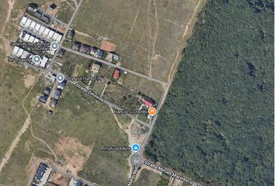 Particular TEREN INTRAVILAN in PIPERA (Matei Millo) și in COMUNA BERCENI - 1