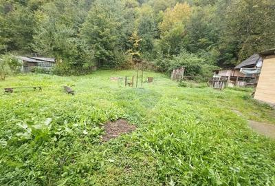 Casa / Vila cu 4 camere de vanzare Tarcau - 23