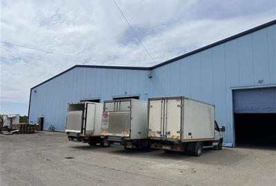 Inchiriere depozit/hala/spatiu industrial Bragadiru - Centura Inchiriere depozit/hala/spatiu industrial Bragadiru - Centura - 3