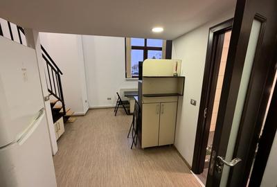 Inchiriere apart. deosebit cu 1 camera, 40 mp., Manastur - 4