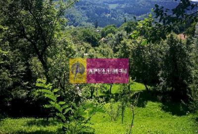 Teren de vanzare in Comarnic (zona Poiana) - 1