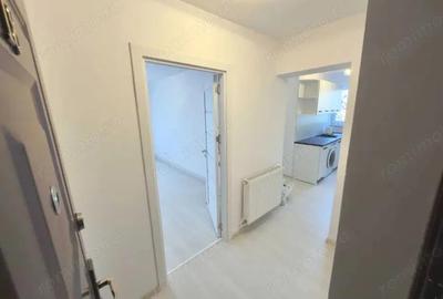 Cornisa - Inchiriere apartament 2 camere - Str. Argesului - 8