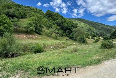 Teren intravilan 8500mp Rasinari - 5