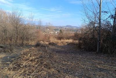 Teren de 4200 mp, în Poiana