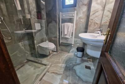 Apartament cu 2 camere - la 3 min de Piata Unirii  si UMF - amenajari premium - 10