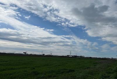 Teren Construcții intravilan de 19680 mp, în Dragomirești-Deal - 4