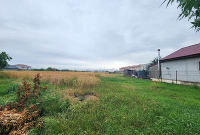 Teren agricol extravilan de 4200 mp, în Giroc - 2