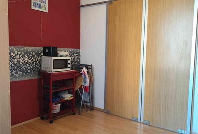 Apartament cu 2 camere semidecomandat în Craiovița Nouă - 8