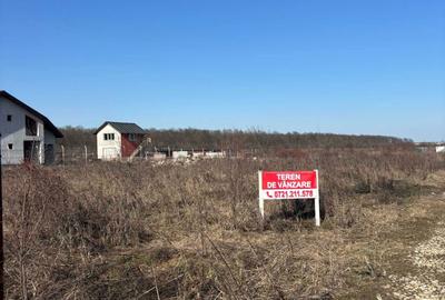 Teren de 1000 mp, în Malu - 4