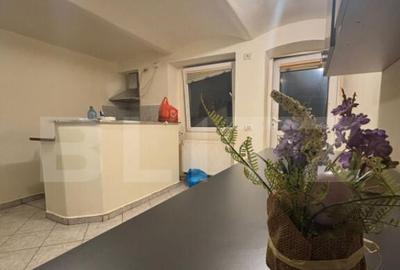 Spa?iu amenajat, 43?mp, zona Balcescu - 1