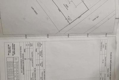 Casa la curte de vanzare in Voluntari - 2