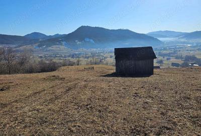 Teren extravilan de vanzare in Bucovina zona Frasin - 4