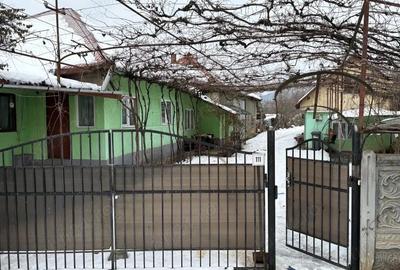 Vand casa cu teren de 18 arii in Sanpetru Almasului - 9