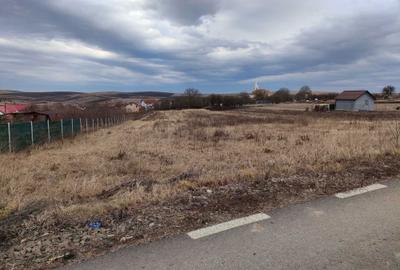 Teren de 4000 mp, în Tureni - 1