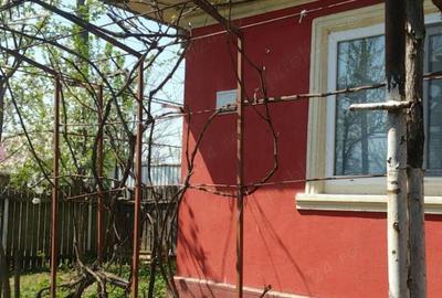 Casa la tara Ulmu Calarasi - 2