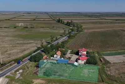 Teren intravilan in Zerind - 2