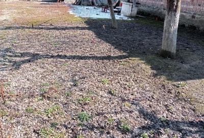 Casă cu Teren 1000 Mp în Central - 5