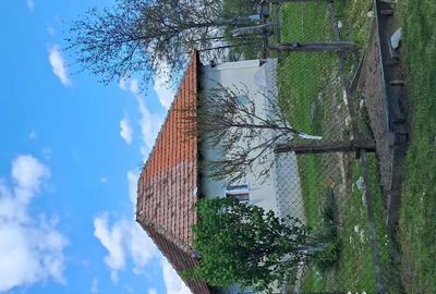 Teren de 10000 mp, în Tomșani - 12