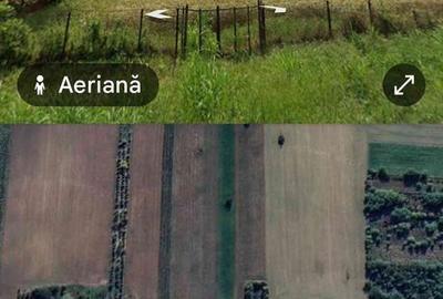 Teren de 10000 mp, în Gura Ocniței