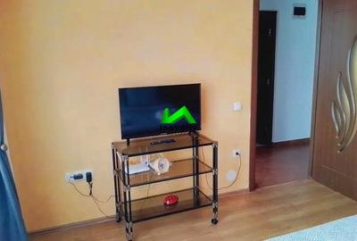 Garsoniera de inchiriat Turnisor - 6