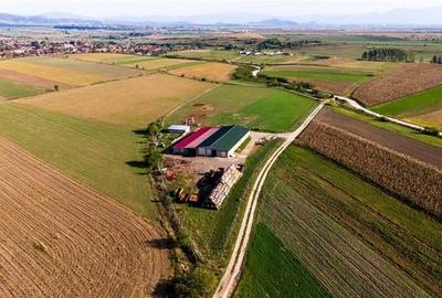 FILM! 18.000 mp,extravilan,agricol+constructii, recomandat:ferma,investitii agri - 7
