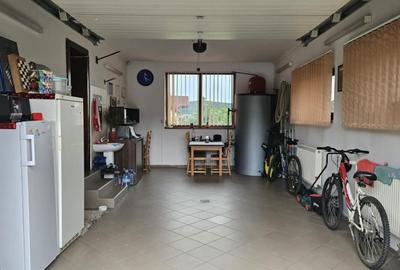 Casa in Livezeni cu piscina,garaj,pivnita foisor 4 camere si 720 mp teren - 19