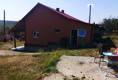 Casa 3 camere STEFANESTI , teren 594mp, mobilata - 9