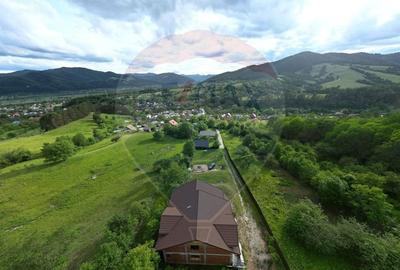 Casa de vanzare - Bistrita, zona Alexandru cel Bun - 21