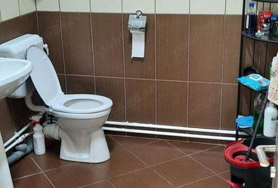 Particular vand casa individuala P+1+M in Bragadiru Independentei 9 camere - 1