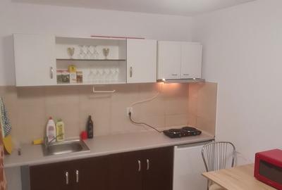 Apartament cu 2 camere decomandat în Central - 4