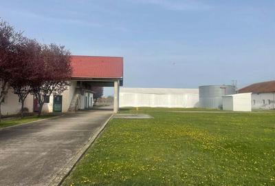 Inchiriez spatii comerciale si industriale in Dumbravita - 10