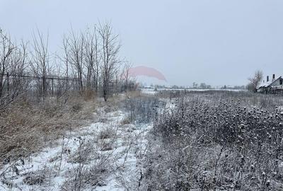 Teren 7,200mp Bodestii de Jos / Strada Bodesti - 4