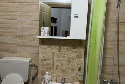 Garsonieră în Porolissum - 10