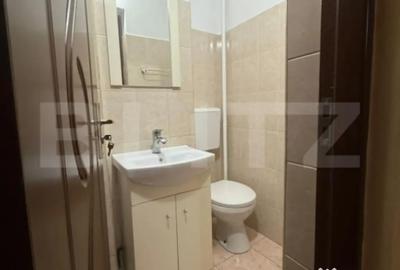 Apartament cu 3 camere decomandat în Cetate - 6