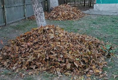 Casă în Central - 1