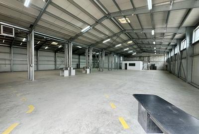 Depozit-Hala-Productie 744mp+366 Birouri-Acces tir - 4