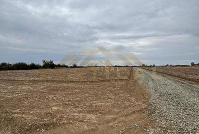 Teren Intravilan 500 mp, comuna Vidra Teren Intravilan 500 mp, comuna Vidra - 4