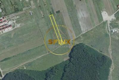 Teren Construcții intravilan de 2000 mp, în Corbeanca - 8