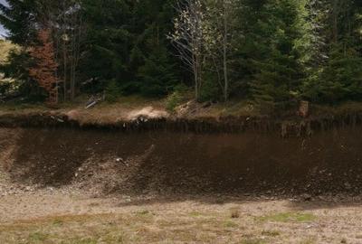 Teren 15841 mp,pret 8 /mp Muntele Rece com. Maguri Racatau - 3