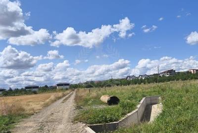 TEREN COCOSESESTI//INTRAVILAN - 3