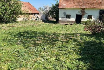 Casă cu 4 camere în Sântămăria-Orlea - 2