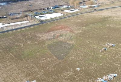 Teren pentru cabana 7.000mp in Hoghilag, Taramul Tubero... - 2