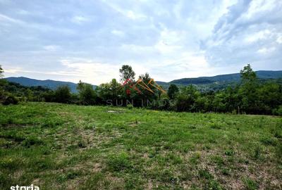 Teren de 2600 mp, în Provița de Jos - 5
