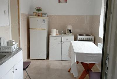 Casă cu 2 camere cu Teren 2500 Mp în Doclin - 3