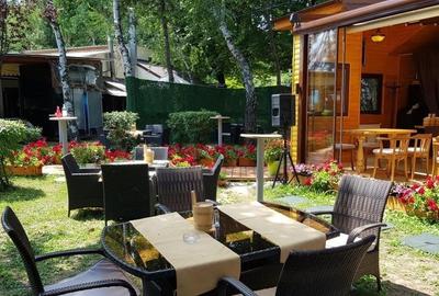 Spatiu  comercial -Parc Herastrau - 8