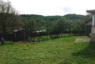 Casă cu 3 camere în Provița de Jos - 7