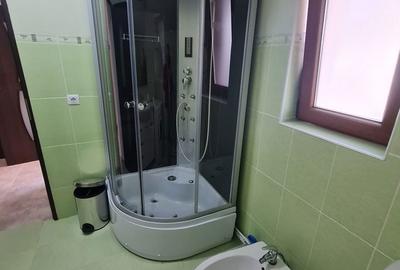Apartament cu 4 camere decomandat în Podu Roș - 17