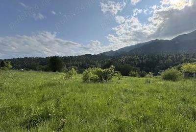 Teren de 5047 mp, în Cumpătu - 2
